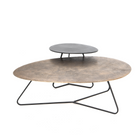 Selin Salontafel - Aluminium - Set van 2